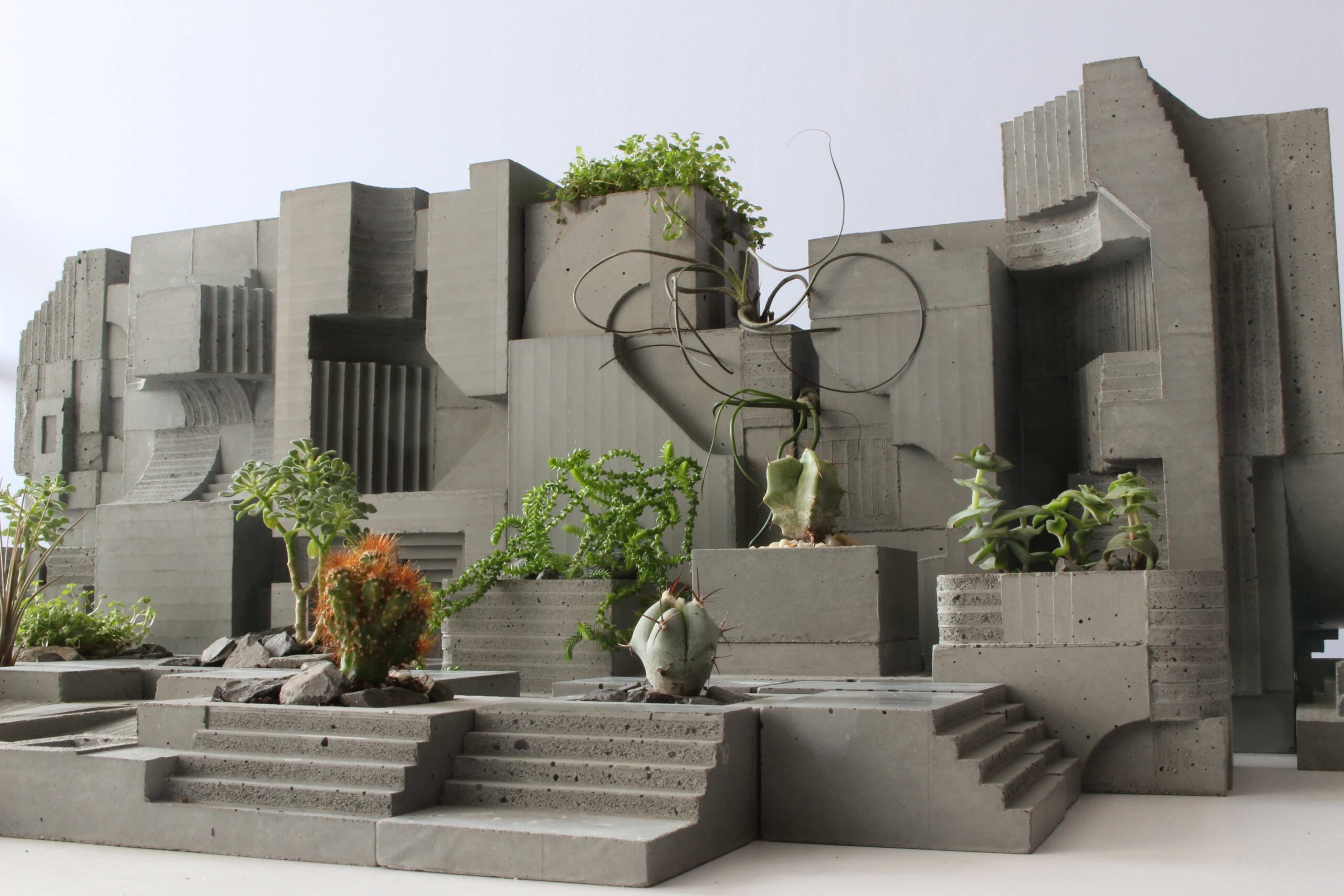 Concrete Planter with Miniature Plants